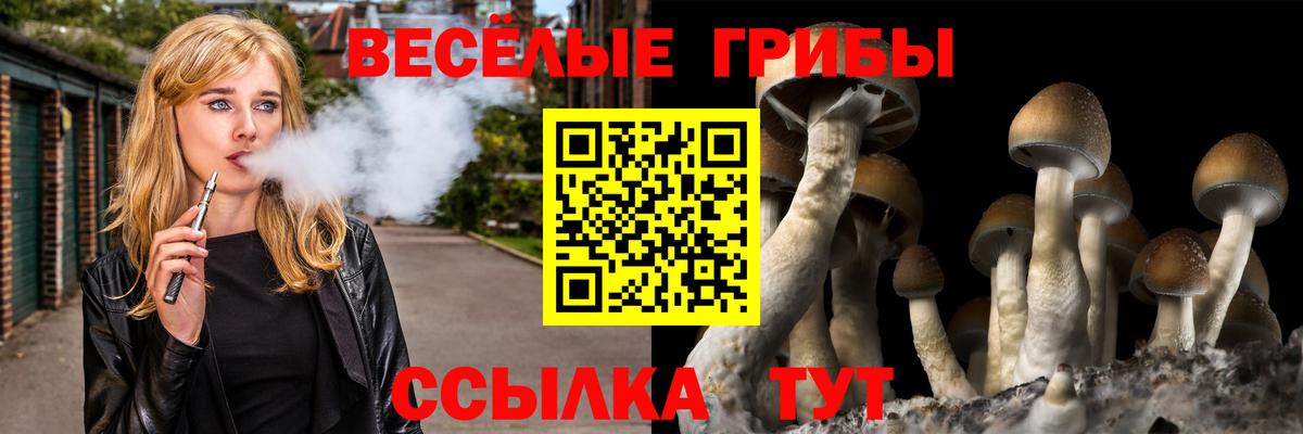 Галлюциногенные грибы Psilocybine cubensis  Вход с VPN  Псилоцибиновые грибы Magic Shrooms  дарнет шоп  Лангепас 